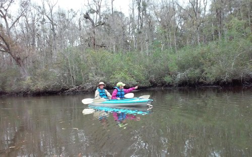 Two people in a kayak on a calm river, surrounded by trees and greenery, with one pointing ahead.