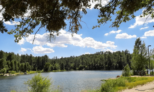 A serene lake surrounded by trees under a bright blue sky with fluffy clouds.