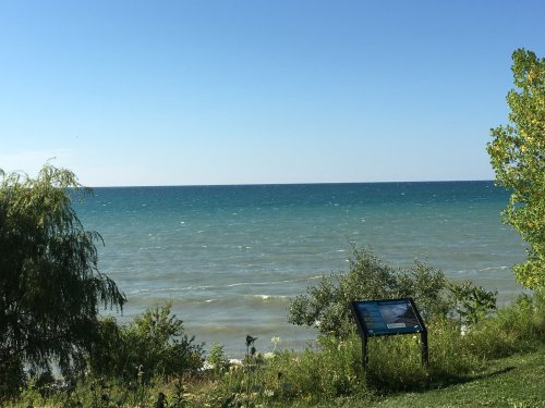 A serene view of a lake with gentle waves, framed by greenery and an informational sign in the foreground.