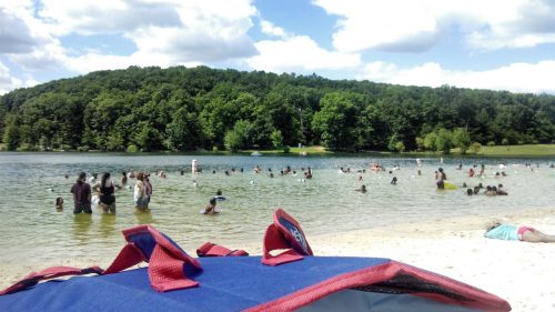 A sunny beach scene with people swimming in a lake, surrounded by green trees and a blue sky with clouds.