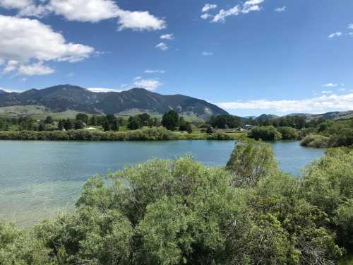 A serene river scene with lush greenery and mountains under a blue sky with scattered clouds.