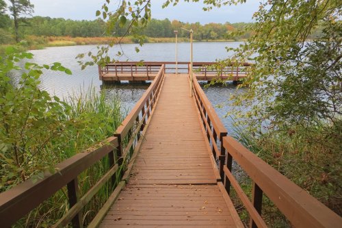 A wooden dock extends into a calm lake, surrounded by greenery and trees, with autumn colors in the background.