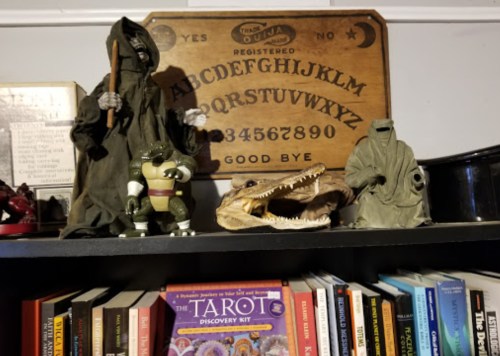 A shelf displaying a vintage alphabet board, figurines, a crocodile skull, and tarot books.