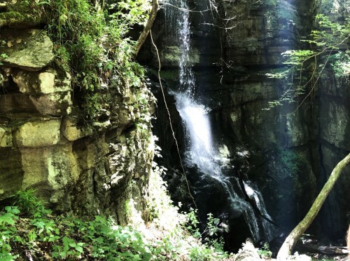 A serene waterfall cascading down rocky cliffs, surrounded by lush greenery and dappled sunlight.