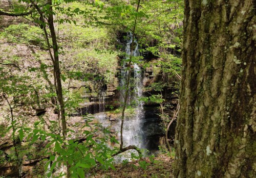 A serene waterfall cascades down rocky cliffs, surrounded by lush green foliage and trees in a peaceful forest setting.