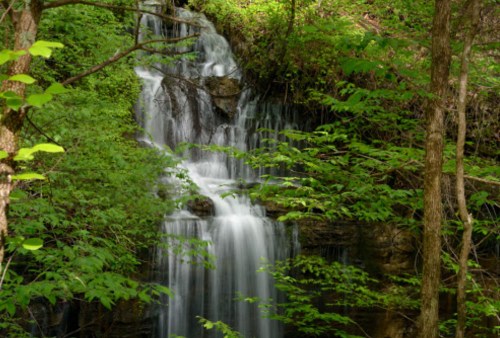 A serene waterfall cascading through lush green foliage in a tranquil forest setting.
