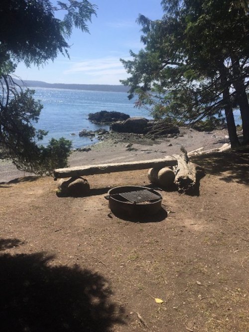 A serene beach scene with a fire pit, logs, and trees overlooking calm water and distant shoreline.