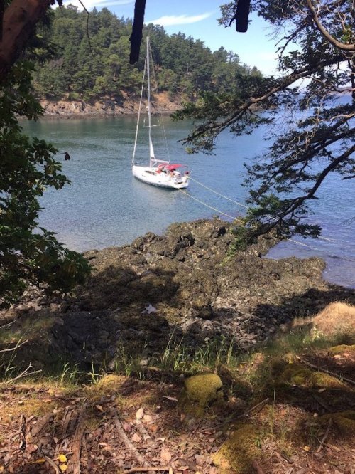 A sailboat anchored near rocky shore, surrounded by trees and calm water in a scenic coastal landscape.