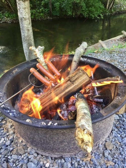 A campfire with logs and hot dogs cooking over flames, beside a peaceful stream and surrounded by trees.