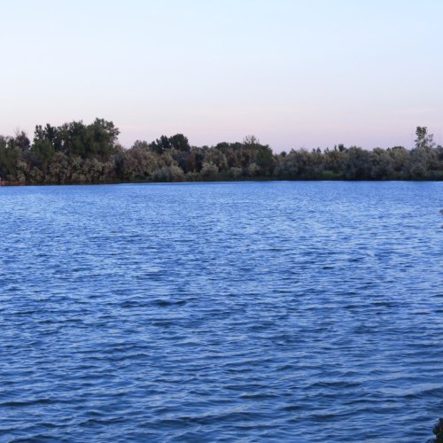 A serene lake with calm blue water, surrounded by trees and a soft pastel sky at dusk.