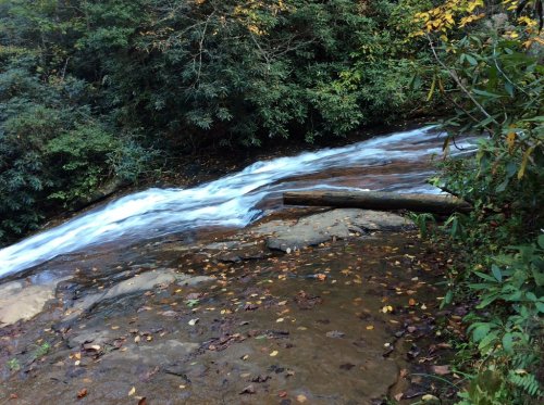 A serene waterfall flows over rocks, surrounded by lush greenery and scattered autumn leaves.