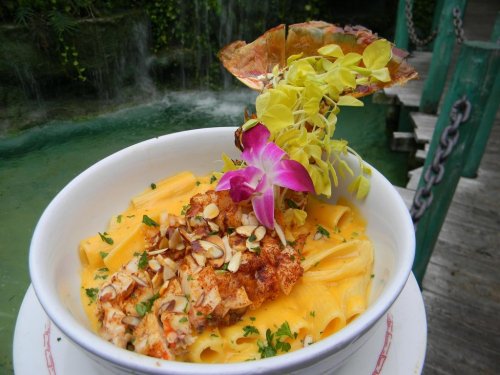 A bowl of creamy pasta topped with lobster, almonds, and a vibrant orchid, set against a lush green background.
