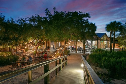A cozy outdoor restaurant at dusk, surrounded by trees and string lights, with diners enjoying the ambiance.