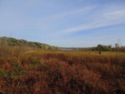 A serene landscape featuring a calm lake surrounded by autumn foliage and grassy fields under a clear blue sky.