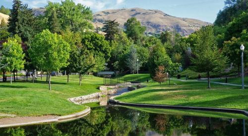 Lush green park with trees, a calm pond, and rolling hills in the background under a clear blue sky.