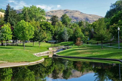 A serene park scene with lush green trees, a calm pond, and mountains in the background under a clear blue sky.