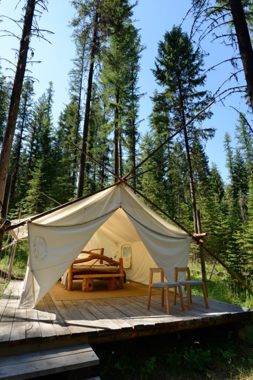 A canvas tent on a wooden platform surrounded by tall trees in a forest setting.