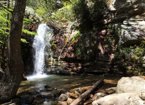 A serene waterfall cascades over rocks, surrounded by lush greenery and a tranquil stream. Sunlight filters through the trees.