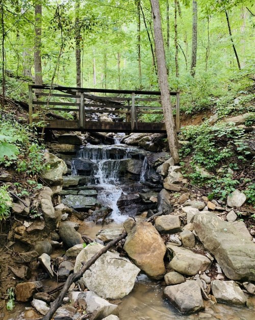 A wooden bridge spans a small waterfall surrounded by lush green trees and rocky terrain.