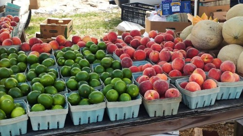 A market display featuring green limes and ripe peaches in blue cartons, with melons in the background.