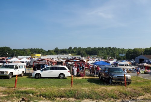 A bustling outdoor market with tents, vehicles, and shoppers in a green landscape under a clear blue sky.