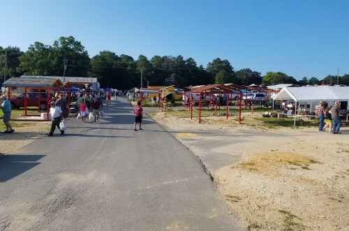 A bustling outdoor market with vendors and shoppers, surrounded by trees and clear blue skies.