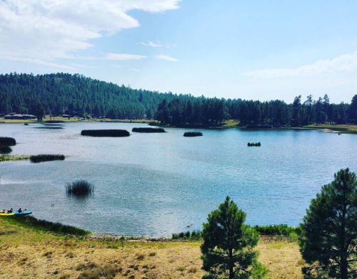 A serene lake surrounded by trees and hills, with small islands and a clear blue sky above.
