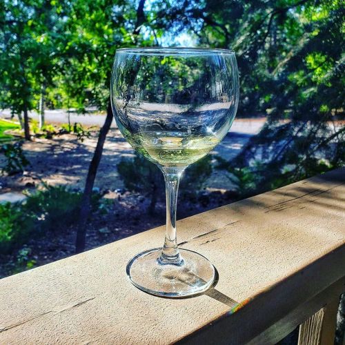A clear wine glass sits on a wooden railing, surrounded by greenery and sunlight.