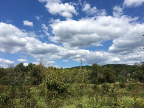 A scenic landscape featuring green trees and shrubs under a blue sky with fluffy white clouds.