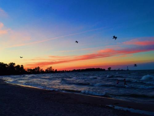 A serene beach at sunset, with colorful skies, gentle waves, and silhouettes of birds flying above.