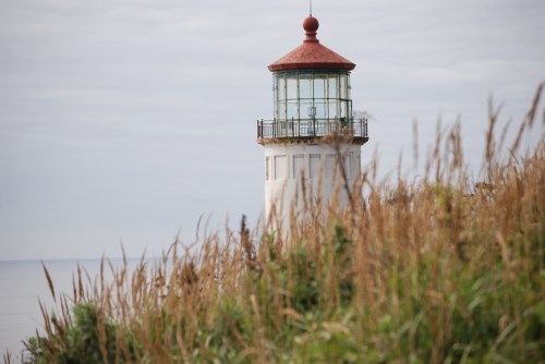 A lighthouse with a red roof stands near tall grass, overlooking a calm sea under a cloudy sky.