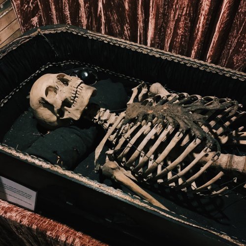 A human skeleton lies in a decorative coffin, surrounded by dark fabric and a few objects.