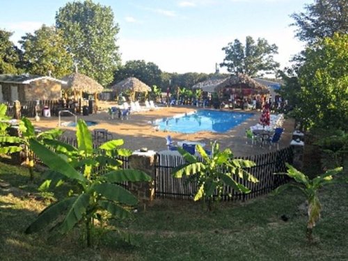 A sunny pool area surrounded by greenery, with lounge chairs and thatched-roof huts in the background.