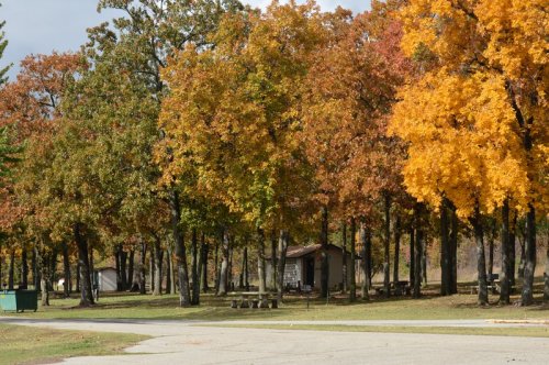 A scenic view of trees with vibrant autumn foliage in shades of orange and yellow, with a picnic area in the foreground.