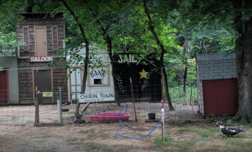A whimsical western-themed play area with a saloon, bank, jail, and a duck wandering nearby.