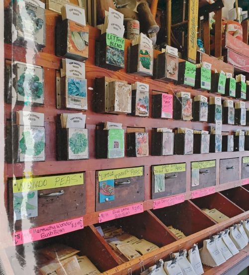 A wooden display with various seed packets organized in labeled compartments, featuring colorful tags and descriptions.