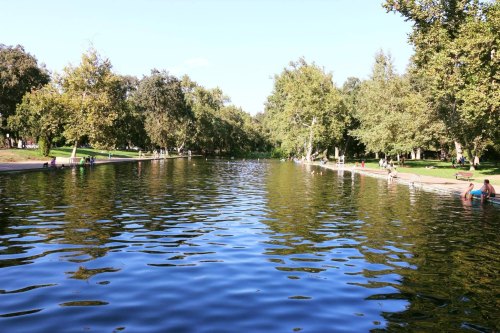 A serene park scene featuring a calm, reflective pond surrounded by lush trees and people enjoying the outdoors.