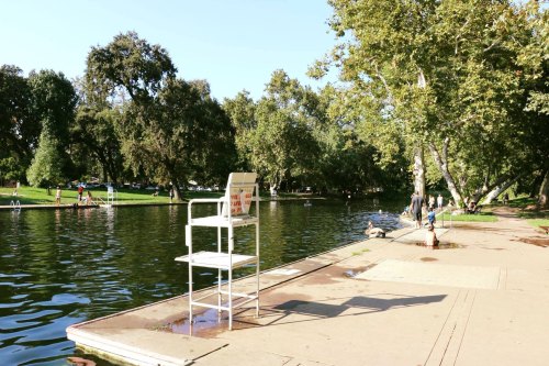 A serene park scene with a calm pond, trees, and a lifeguard chair by the water's edge. People enjoy the outdoors.