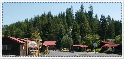 A rustic lodge with red-roofed cabins surrounded by tall green trees under a clear blue sky.