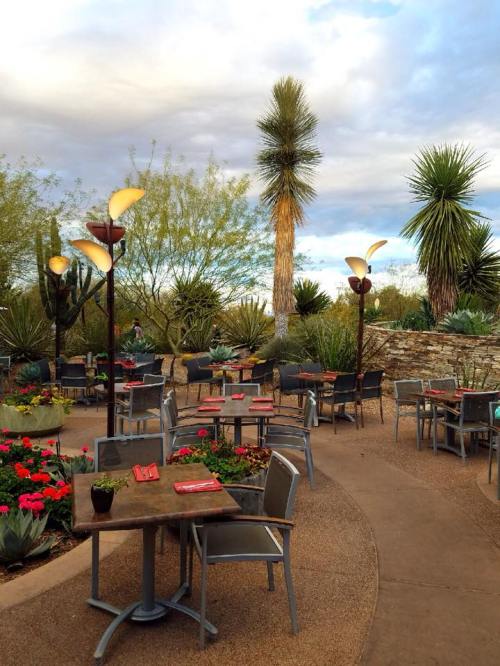 Outdoor restaurant patio with tables, surrounded by desert plants and flowers under a cloudy sky.