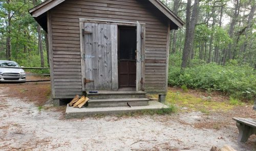 A rustic wooden cabin in a forested area, with a fire pit and logs nearby, and a car parked in the background.