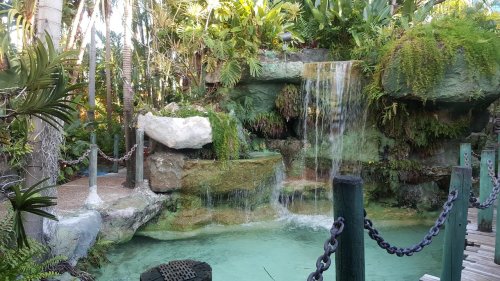 Lush tropical garden with a waterfall cascading over rocks into a serene pool, surrounded by greenery and wooden pathways.