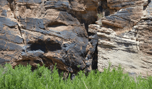 Rocky cliffside with layered textures in shades of brown and black, surrounded by green vegetation at the base.