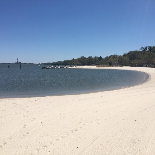 A serene beach with soft white sand, calm water, and a clear blue sky, lined with trees in the background.