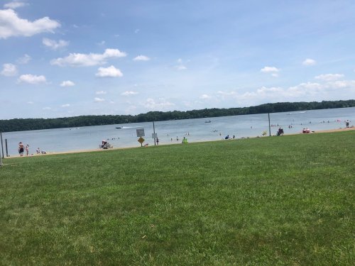 A sunny lakeside scene with people swimming and relaxing on the grass, surrounded by trees and boats on the water.