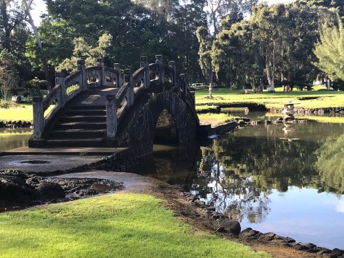 A stone bridge arches over a calm pond, surrounded by lush greenery and trees in a serene park setting.