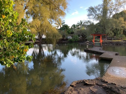 A serene pond surrounded by trees, with a small path leading to a red gazebo reflecting in the water.