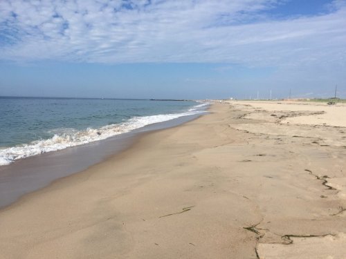 A serene beach scene with gentle waves lapping at the shore under a clear blue sky.