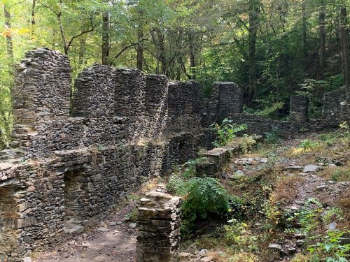 Ruins of stone walls surrounded by lush greenery in a forested area.