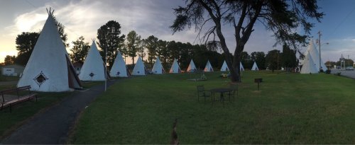 A panoramic view of several white teepees arranged in a grassy area, with trees and a cloudy sky in the background.